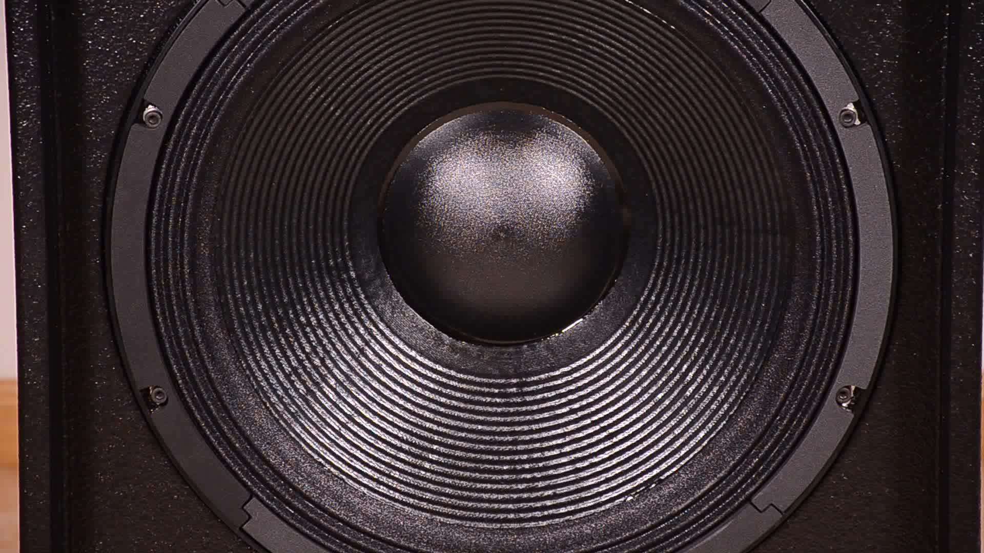 Multiply Birch Plywood 18" Horn Loaded Live Subwoofer Speaker Buy