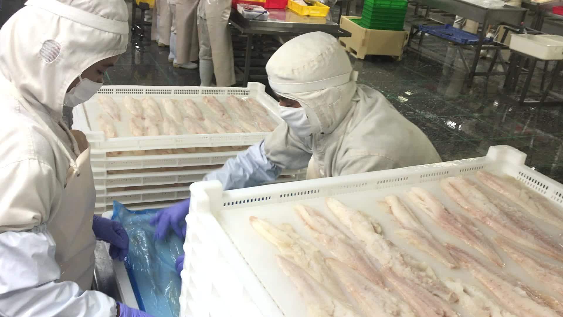 Seasoned Frozen Flying Fish And Pollack Buy Pollack,Pollack,Pollack