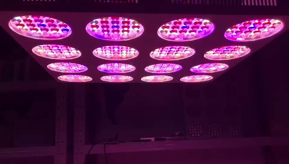 High Power Led Grow Light Hydroponic 3360w Plant Light S16 Greenhouse