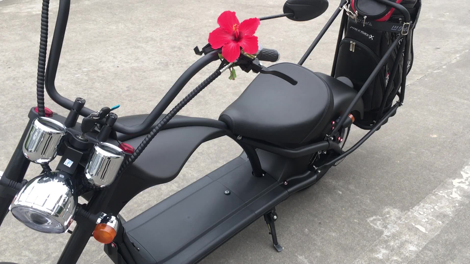 Citycoco Electric Motorcycles High Performance Foldable