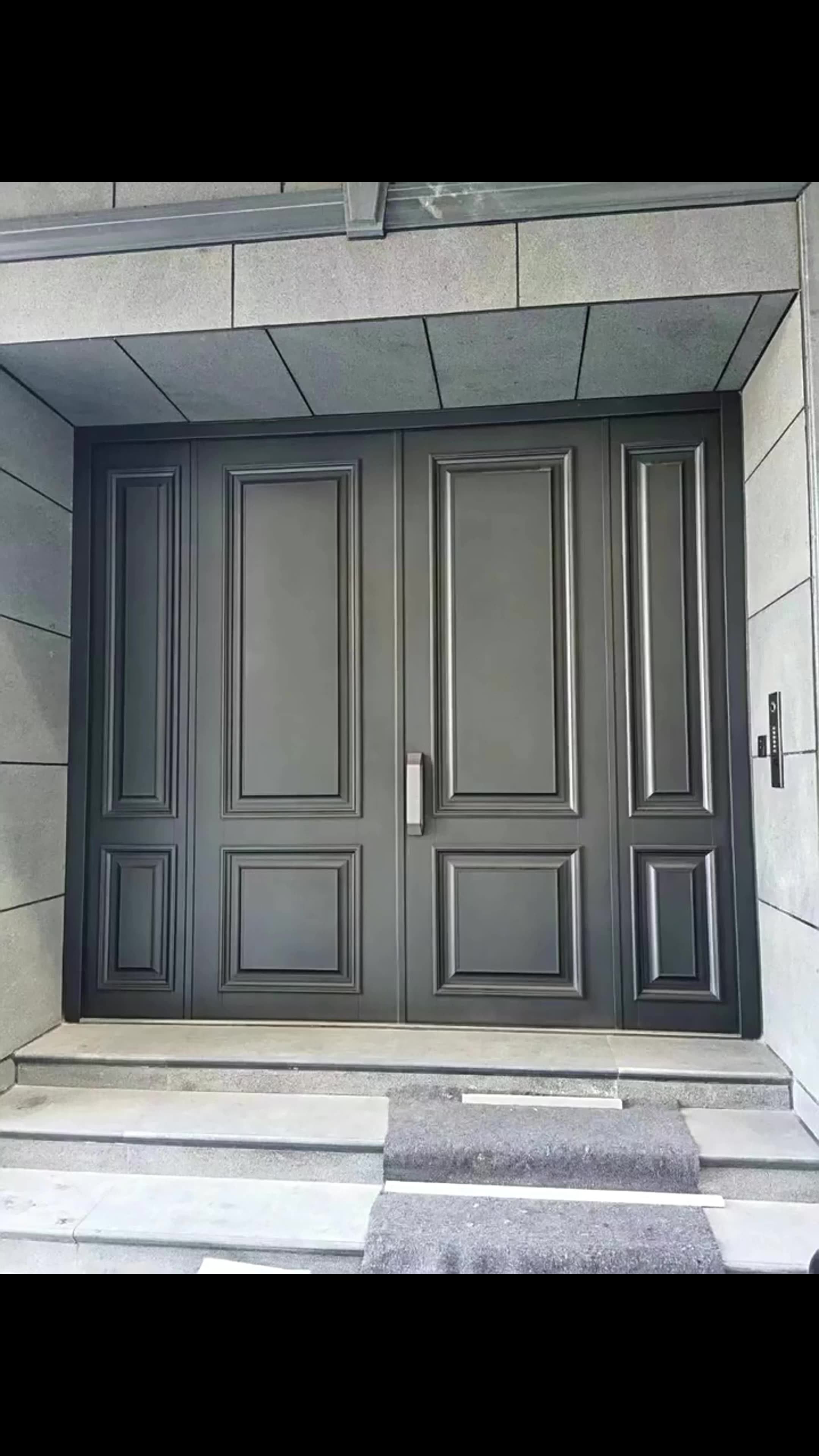 Hurricane Proof Front Door Exterior Entry Metal Modern Door Cast