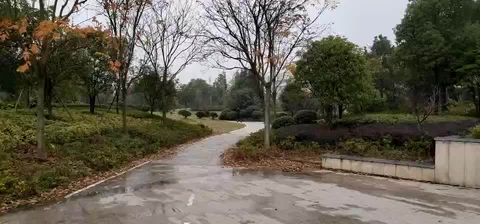 Powerful Electric Scooter 60v 5600w 11inch Off Road Big Wheel Fast