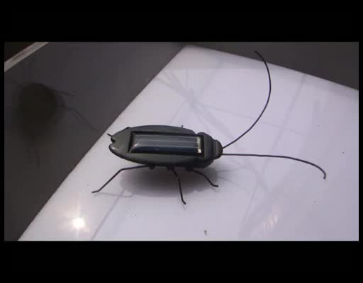 electronic bugs toys
