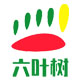六叶树官方企业店