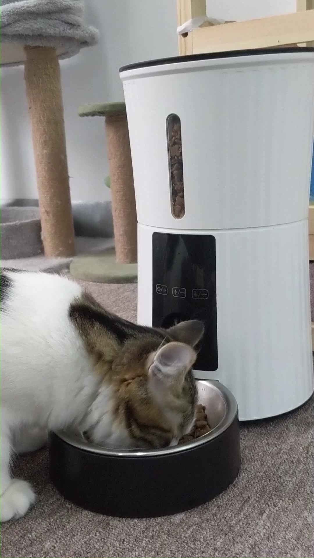 New Smart Automatic Cat Dog Pet Feeder 4l Dry Food Treat Dispenser