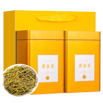 High-end gift box golden bud tea 2024 new tea authentic green tea Mingqian special grade Anji white tea 250g strong fragrance