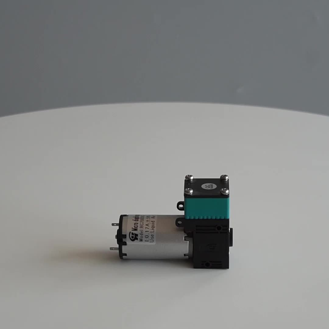 Voltage 12v/24v Alcohol Small Water Vacuum Negative Pressure Pump Buy