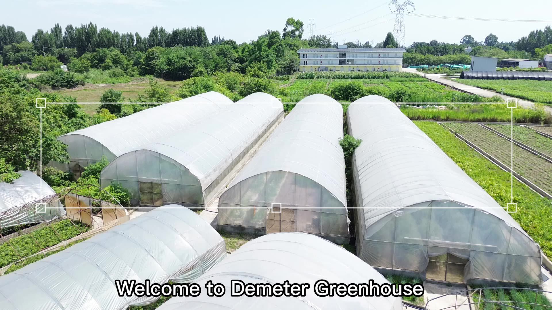 Low Cost Tunnel Greenhouse Galvanized Steel Frame Single Span Pe Film