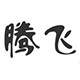 腾飞精密传动科技
