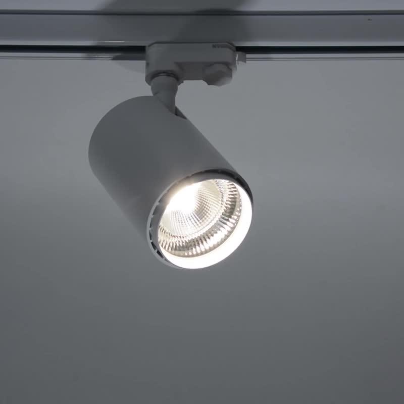 Led Professional Lighting 30w Led Triac Dali Dimmable Track Light Buy
