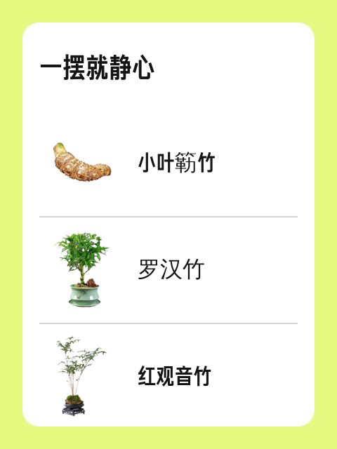 一摆就静心-淘宝逛一逛