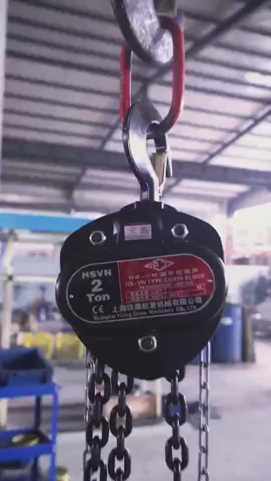 Double Pawl Brake System Vd Manual Chain Hoist Buy Vd Chain Block