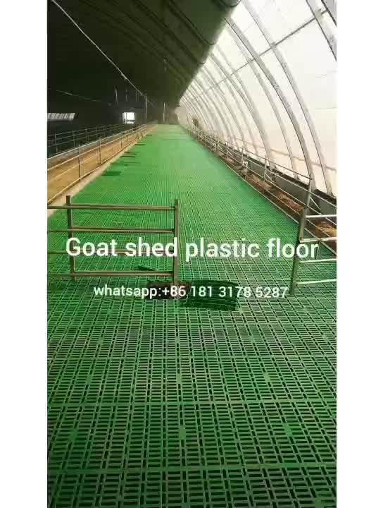 Goat Farm Raised Floor Systems Pp Sheep Slatted Flooring Goat Plastic