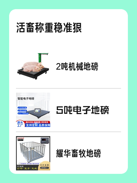 活畜称重稳准狠-淘宝逛一逛