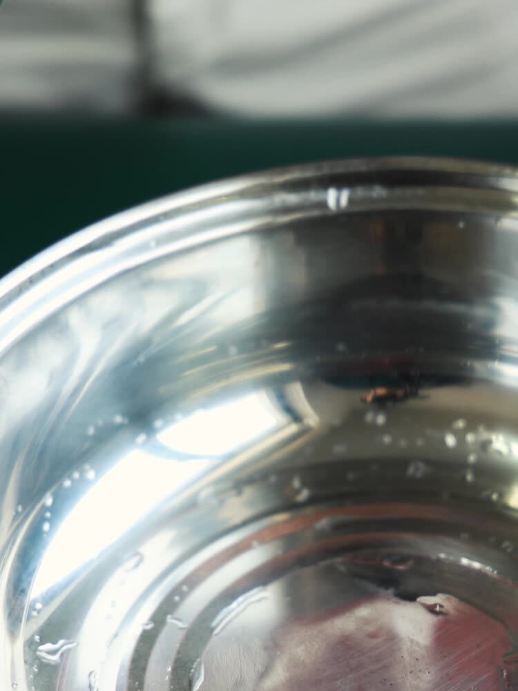 Guofang dumplings Big meat dumplings Bean paste dumplings Egg Yolk dumplings Chestnut dumplings Huzhou specialty handmade fresh and freshly made