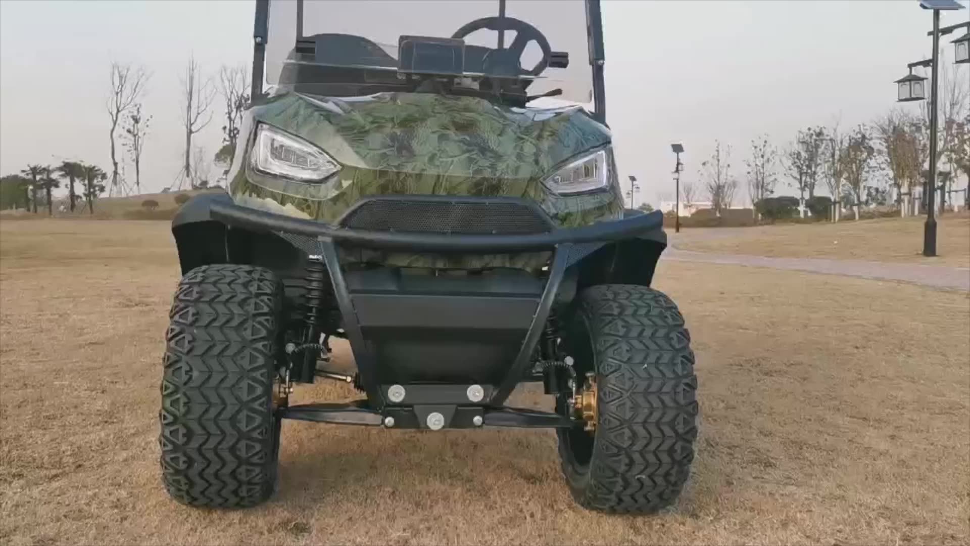 Custom Electric Golf Cart Lsv Golf Cart With Lithium 72 Volt 2 Seat