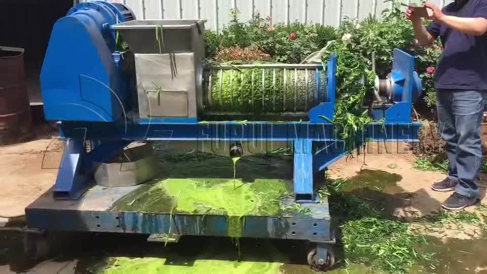 Popular Commercial Wheatgrass Juicer Machine/fresh Fruit Juicer Machine/vegetable And Fruit