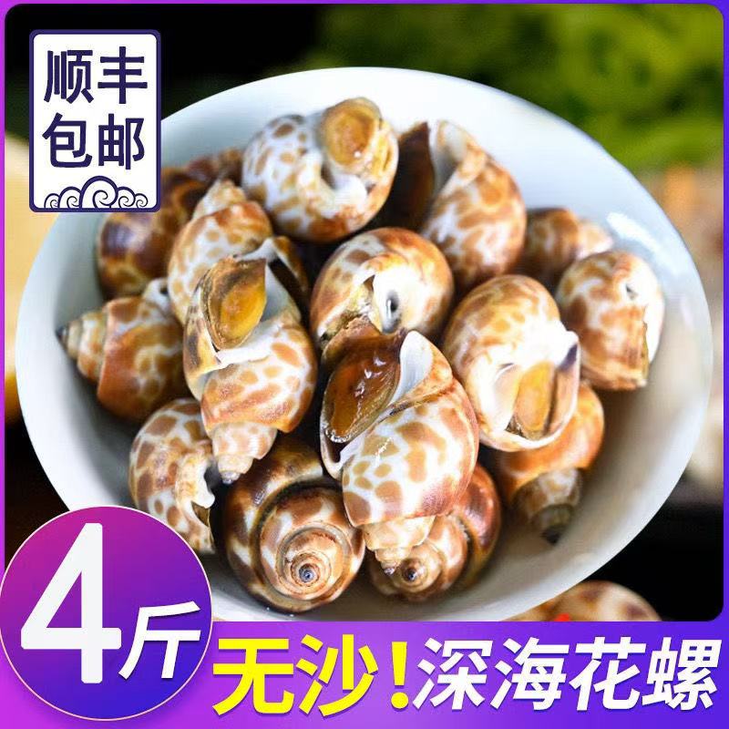Frozen snails, fresh snails, fresh seafood, aquatic products, fresh frozen snails, shellfish, juice, small seafood wholesale
