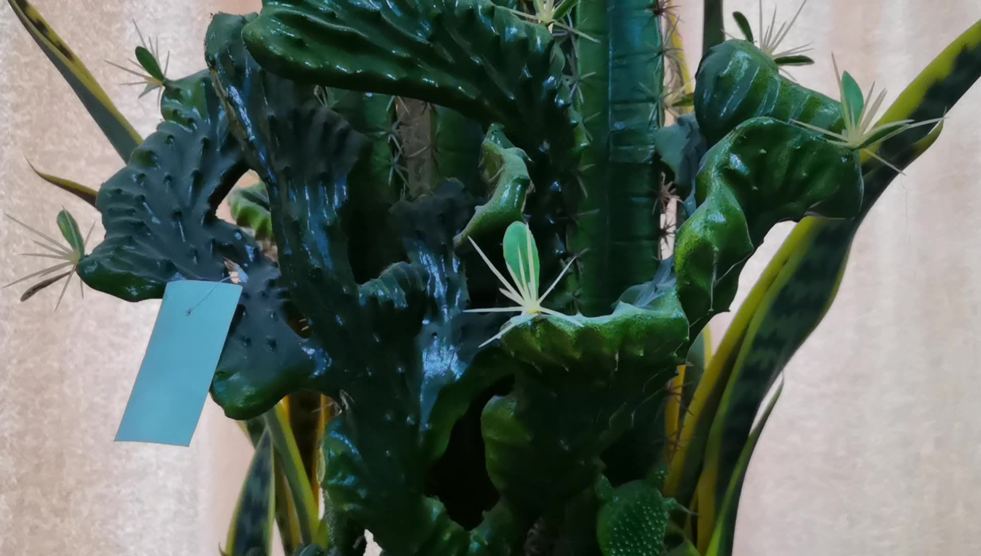 Wholesale Ornamental Home Decor Large Artificial Cactus Decoration Fake