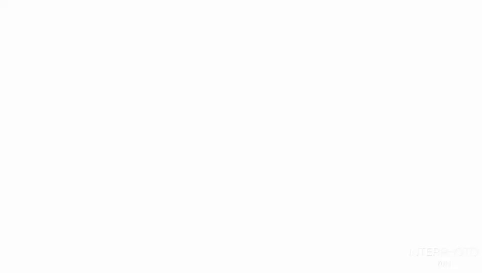 lingmei 70 shuttlecock