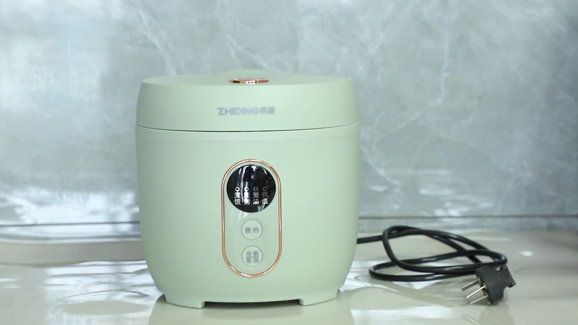 Portable Kitchen Appliances Mini Rice Cooker0.8l People Small Electric