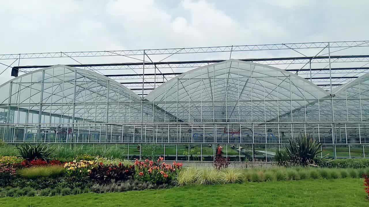 Commercial Glass Greenhouse Glasshouse For Vegetable Hot Sale Buy