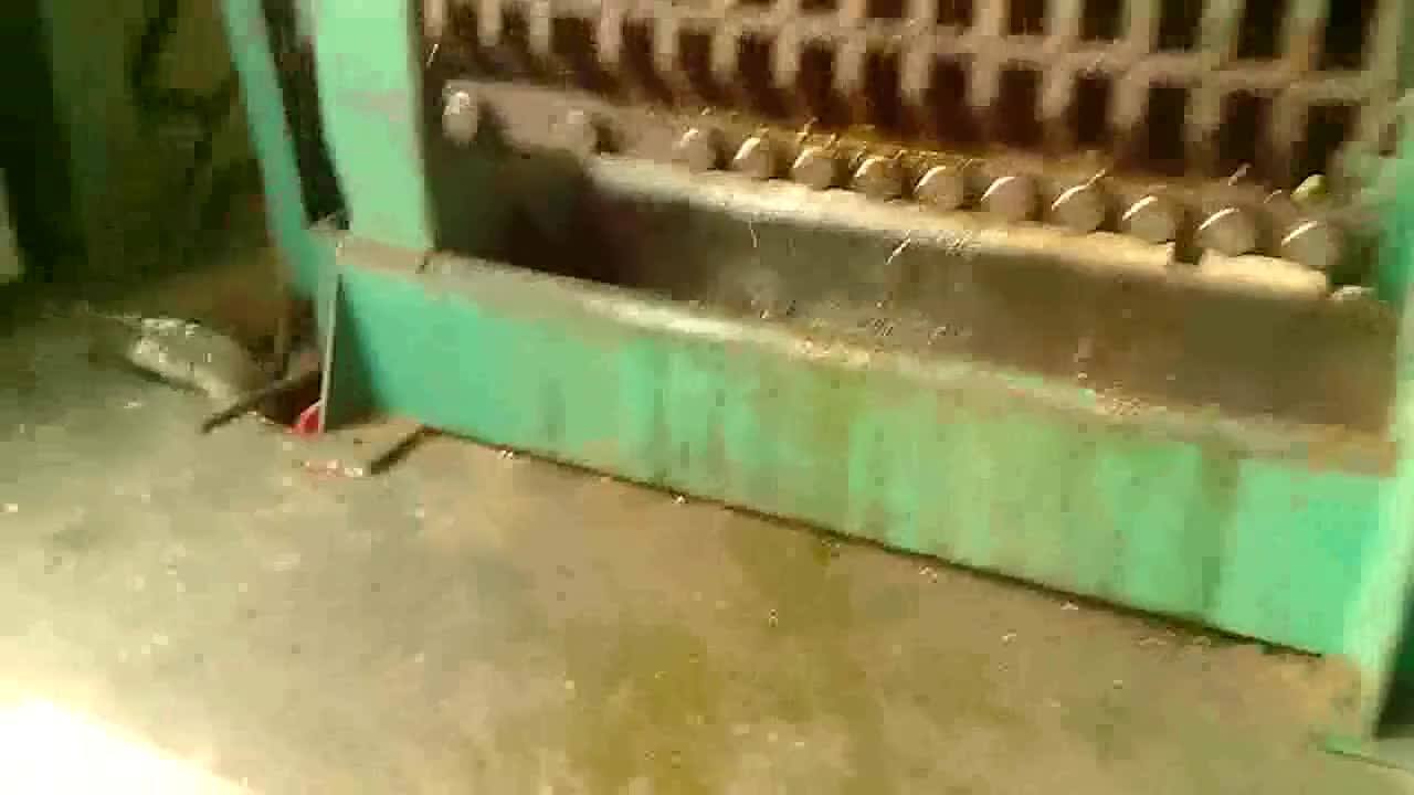 Africa Kenya,Ng,Tanzania Sunflower Seeds Oil Making Machine Neem Seed Soybean Oil Extraction