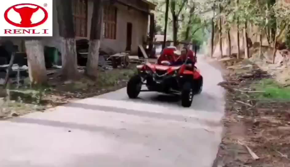 Quadix Buggy 1100 4x4