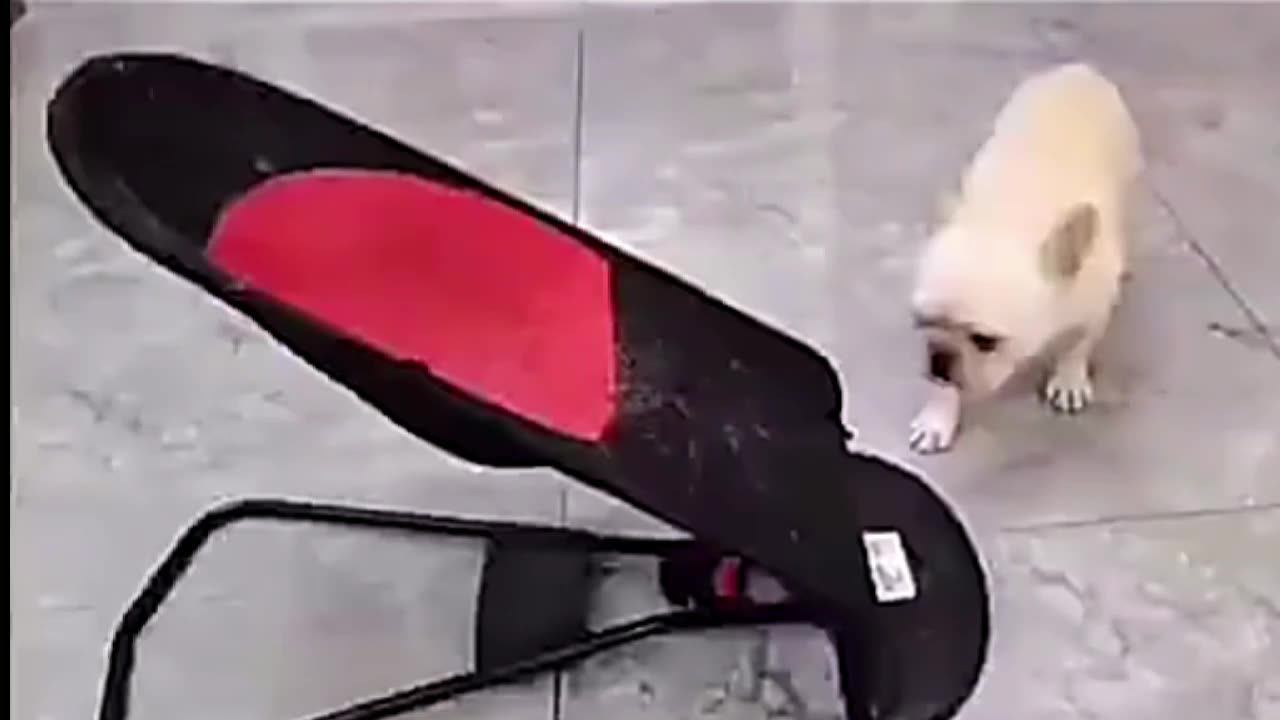 Dropshippings Adjustable Portable Folding Elevate Pet Dog Bed Rocking