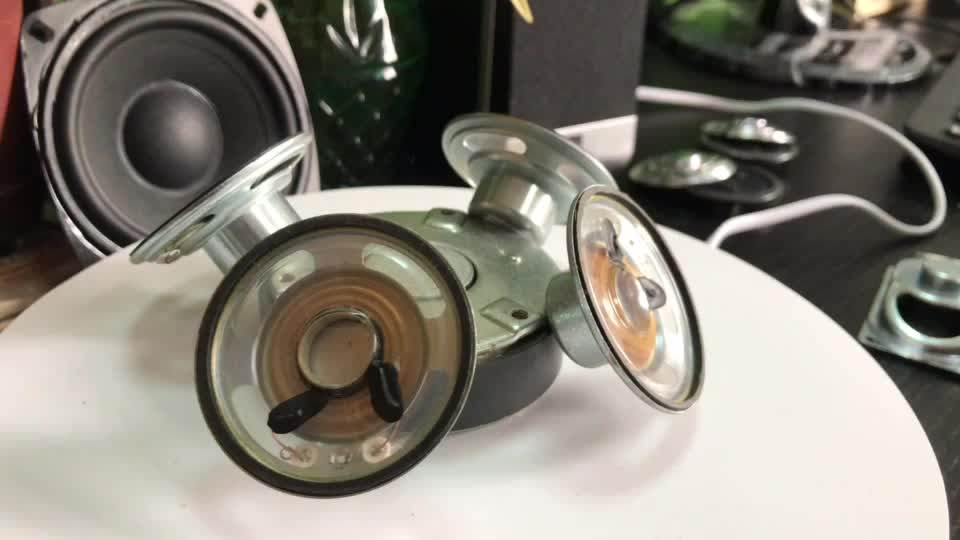 Rohs Compliant 50mm Micro Speaker Driver 32ohm 2w Water Proof Speaker