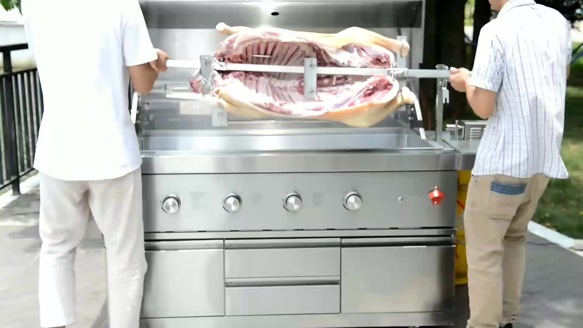 Commercial Spit Roaster Lamb Indoor Pig Roast Machine Portable Butane