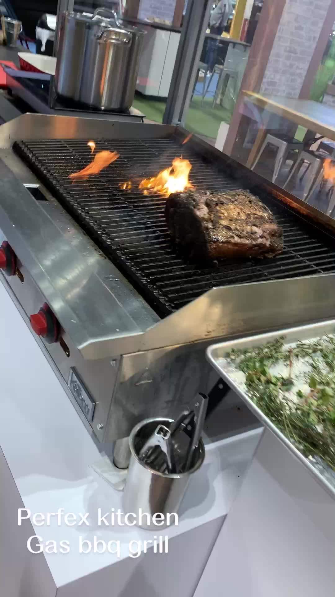 Perfex 4 Burner Barbecue Grill Gas Lava Rock Stone Grill Machine