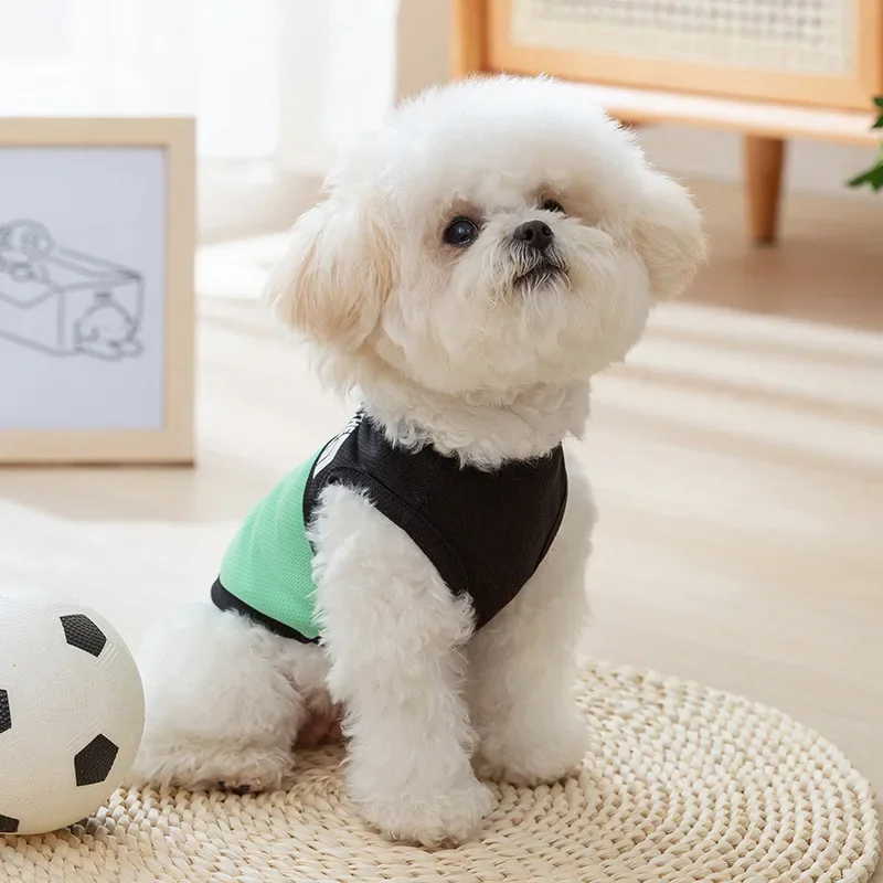 Жилет dogace синий XS