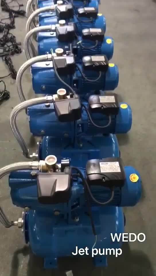 Wedo 1hp Electric Automatic Jet Selfpriming Pump Stainless Steel Jet