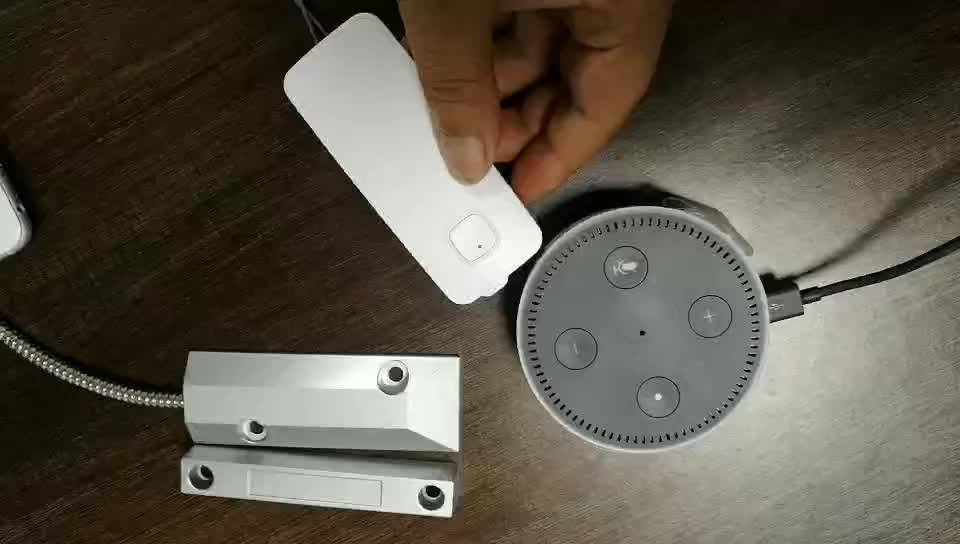 Wifi Door Opener Garage Sensor Work With Alexa Tuya App Storage