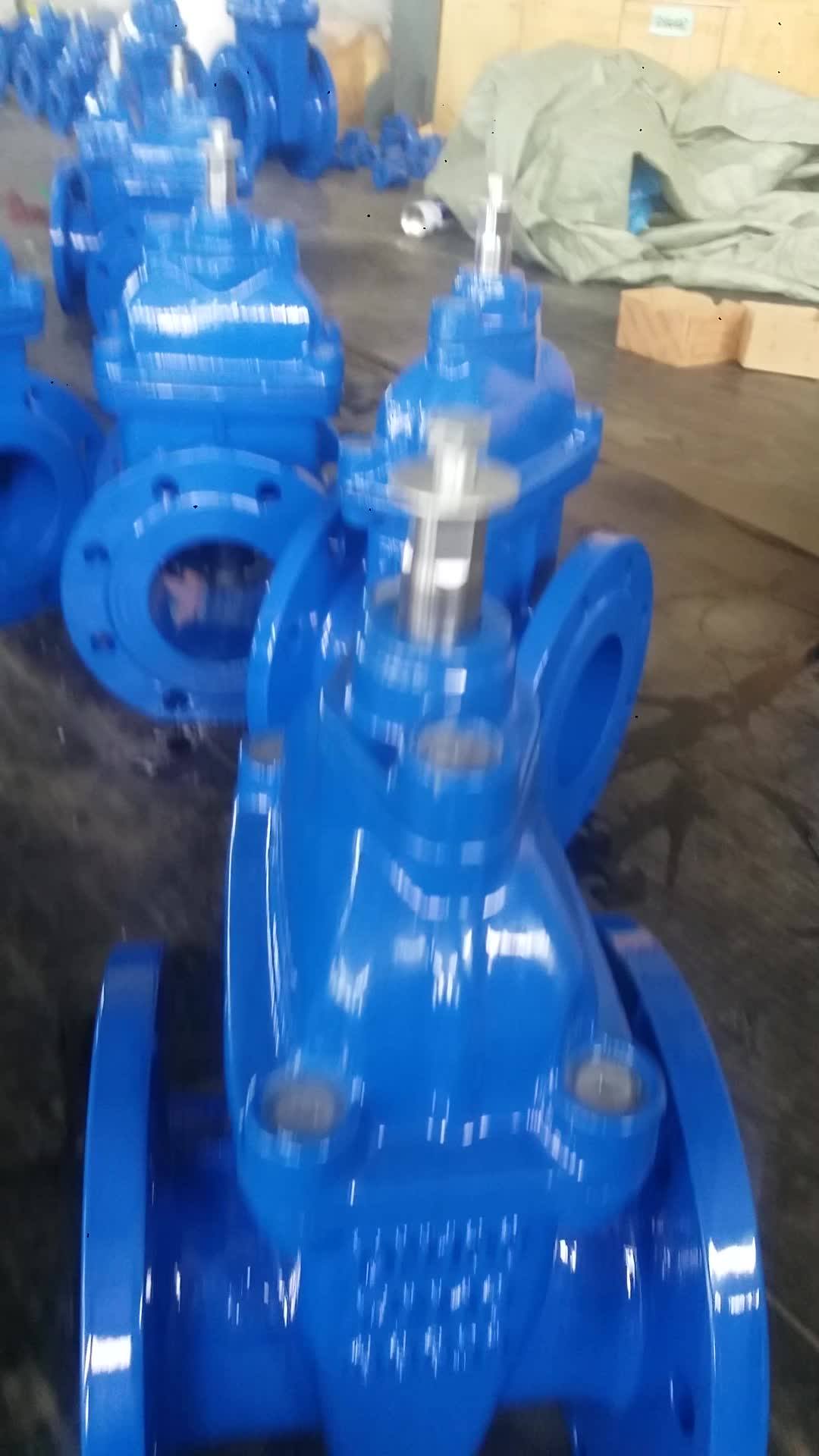Light Torque 2 Inch Water Rubber Seal Gate Valve With Hight Quality