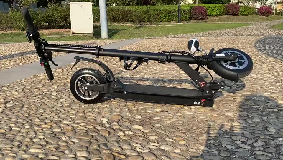 Double Braking System Sccoter Portable Folding 2 Wheel Electric Scooter