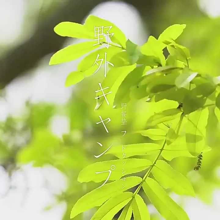 Nam Cực Thảm Dã Ngoại Thảm Chống Ẩm Dày Cắm Trại Ngoài Trời Di Động Mùa Xuân Đi Chơi Thảm Bãi Biển Vải Oxford Có Thể Giặt Bằng Máy 