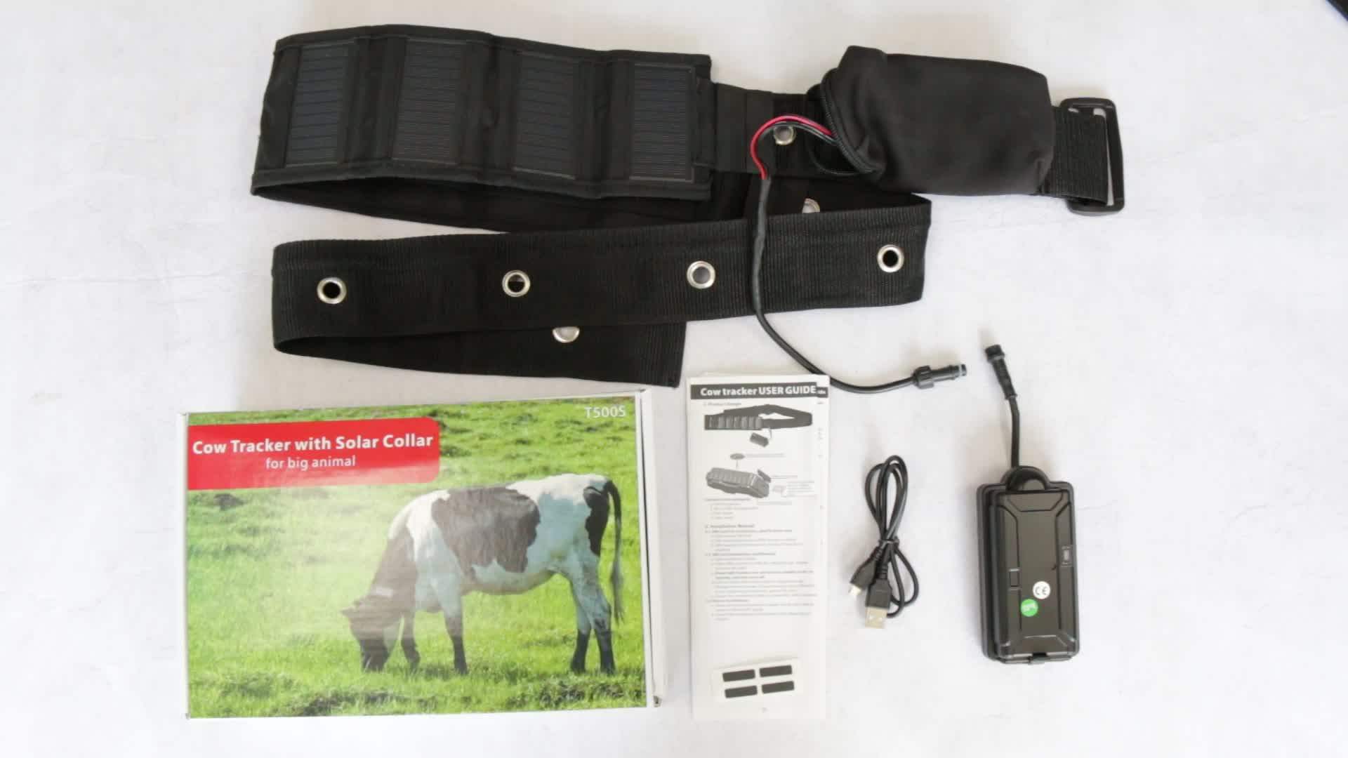 Solar Powered Horse Cow Cattle Camel Gps Tracker Long Battery Farmer