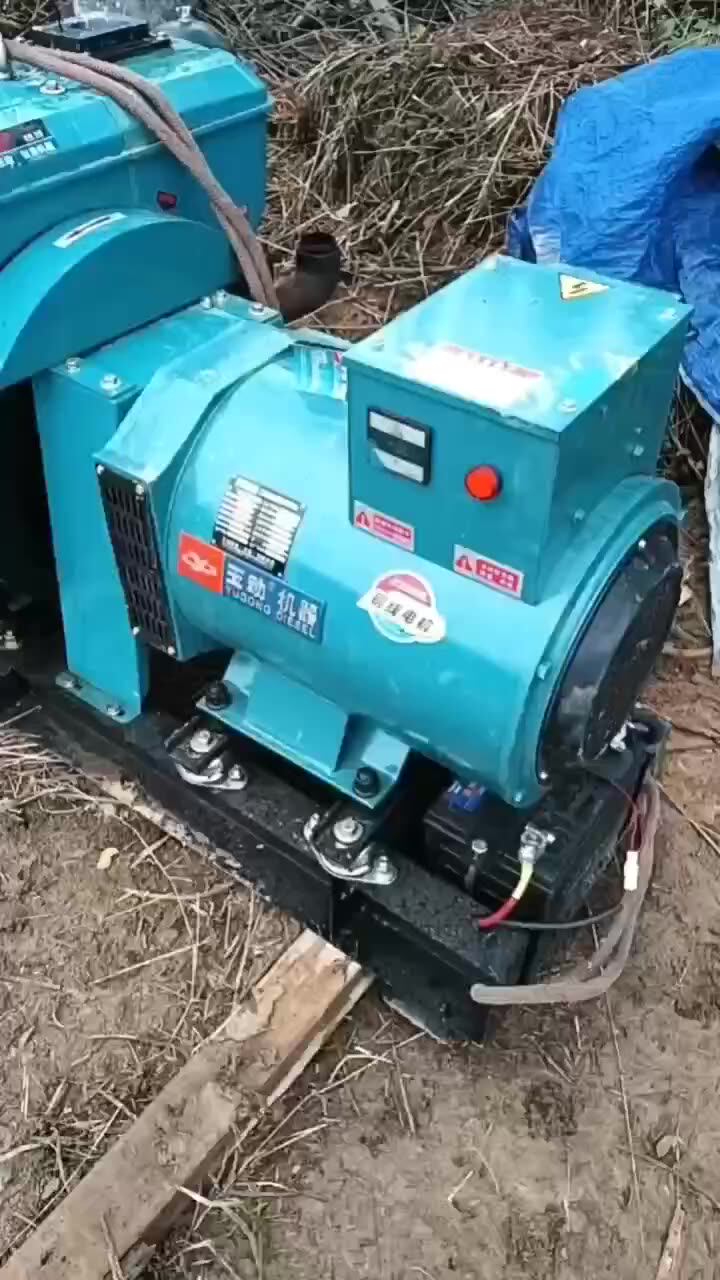 Three Phase Diesel Generator 50hz60hz Water Cooled Single Phase