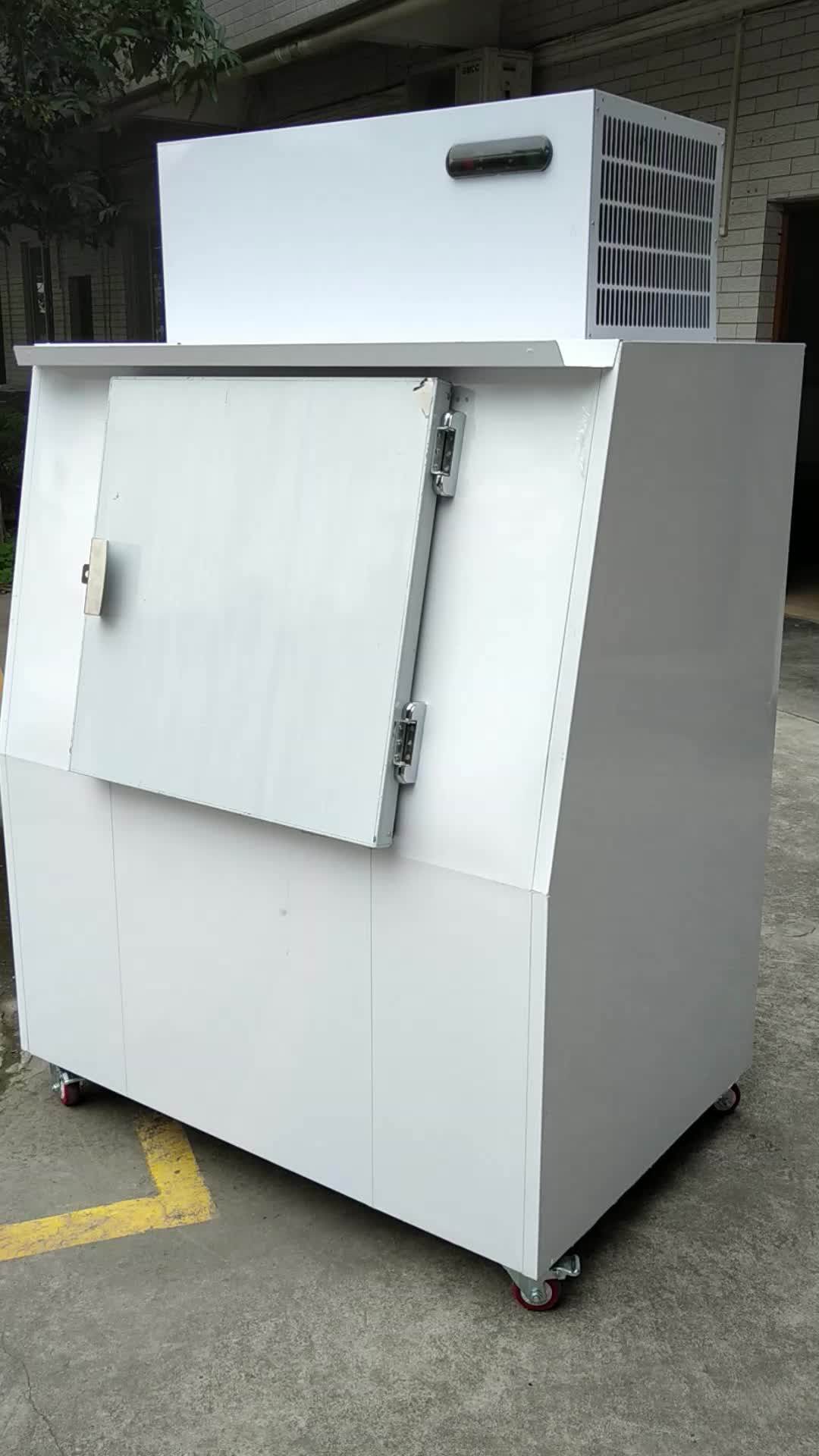 Commercial Freezer Ice Merchandiser/ice Storage Bin Outdoor Used Buy