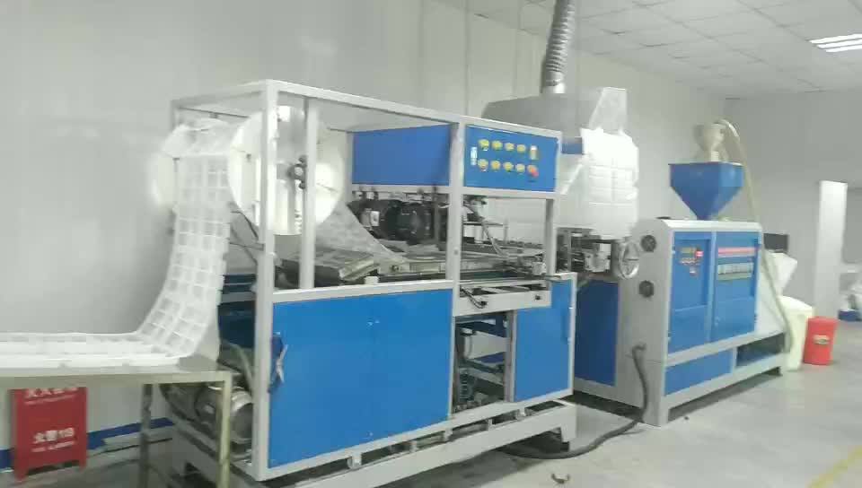 Biodegradable Vacuum Plant Fiber Food Plate Forming Making Machine