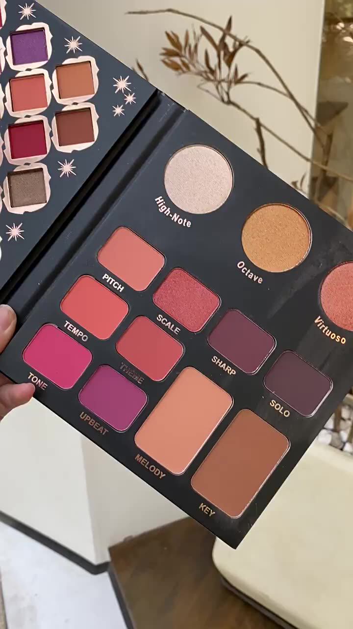 41 Colors Makeup Kit Matte Shimmer Eye Shadow Highlighters Contour