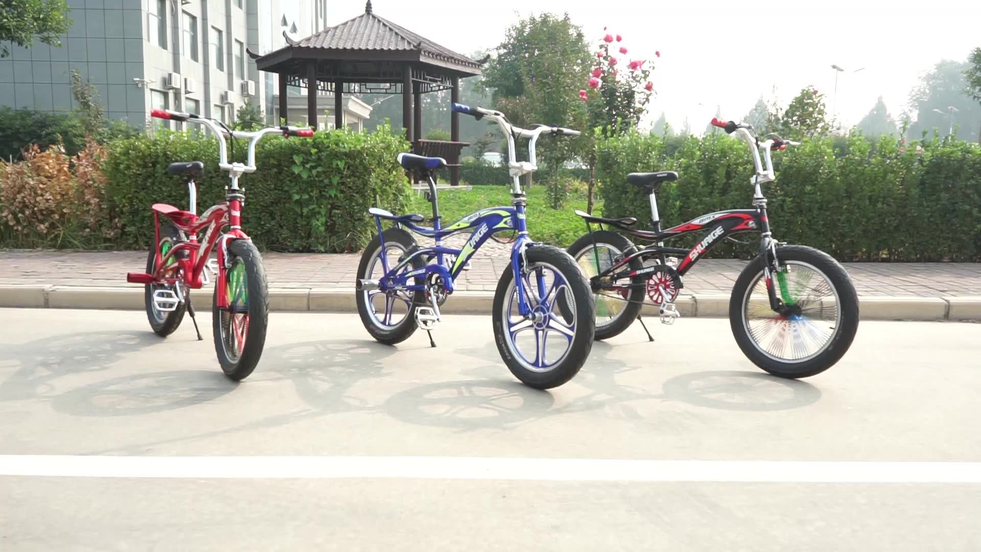 20 Inch BMX Bike - Customized Steel Freestyle Gears