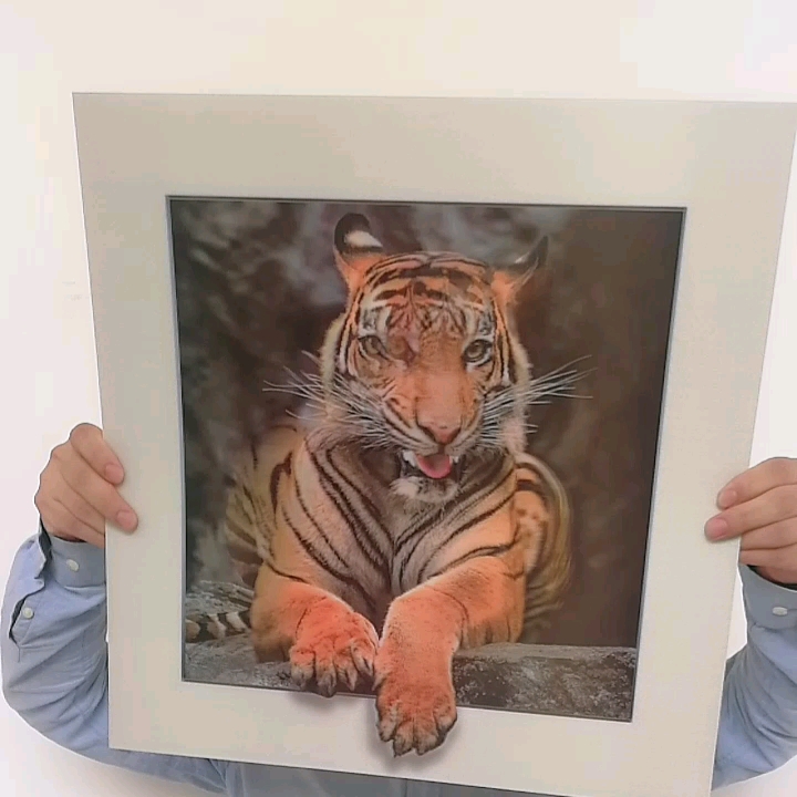 3d画像タイガーポスター5dレンチキュラータイガー画像 Buy 3d ポスター 5d 絵タイガー ホット動物写真 3d 3d レンチキュラー画像 Product On Alibaba Com 3d画像タイガーポスター5dレンチキュラータイガー画像 Buy 3d ポスター 5d 絵タイガー ホット動物写真 3d 3d レンチキュラー画像 Product On Alibaba Com