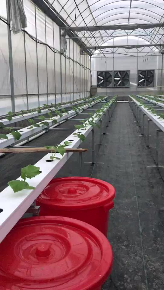 Indoor Hydroponic Garden Strawberry Growing System Nft Channel