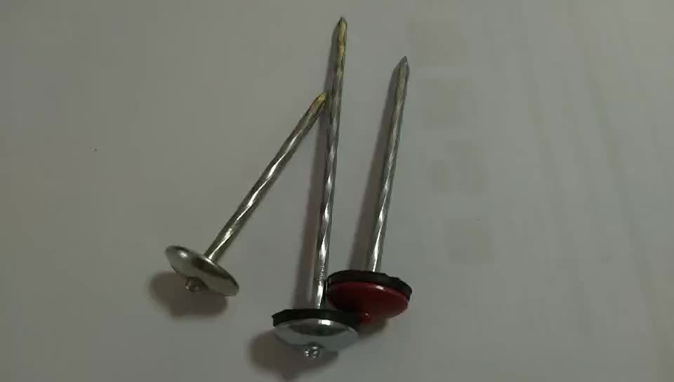 Corrugated Umbrella Head Roofing Nails With Good Quality Buy Umbrella