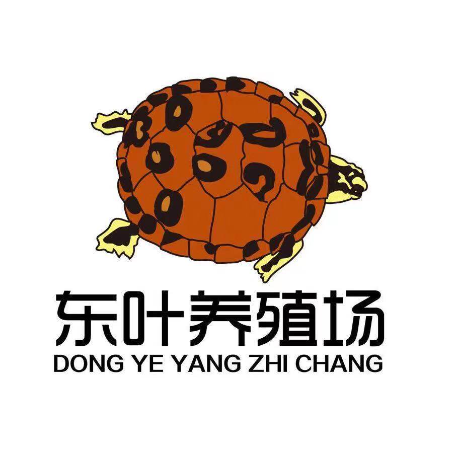 东叶龟鳖养殖场