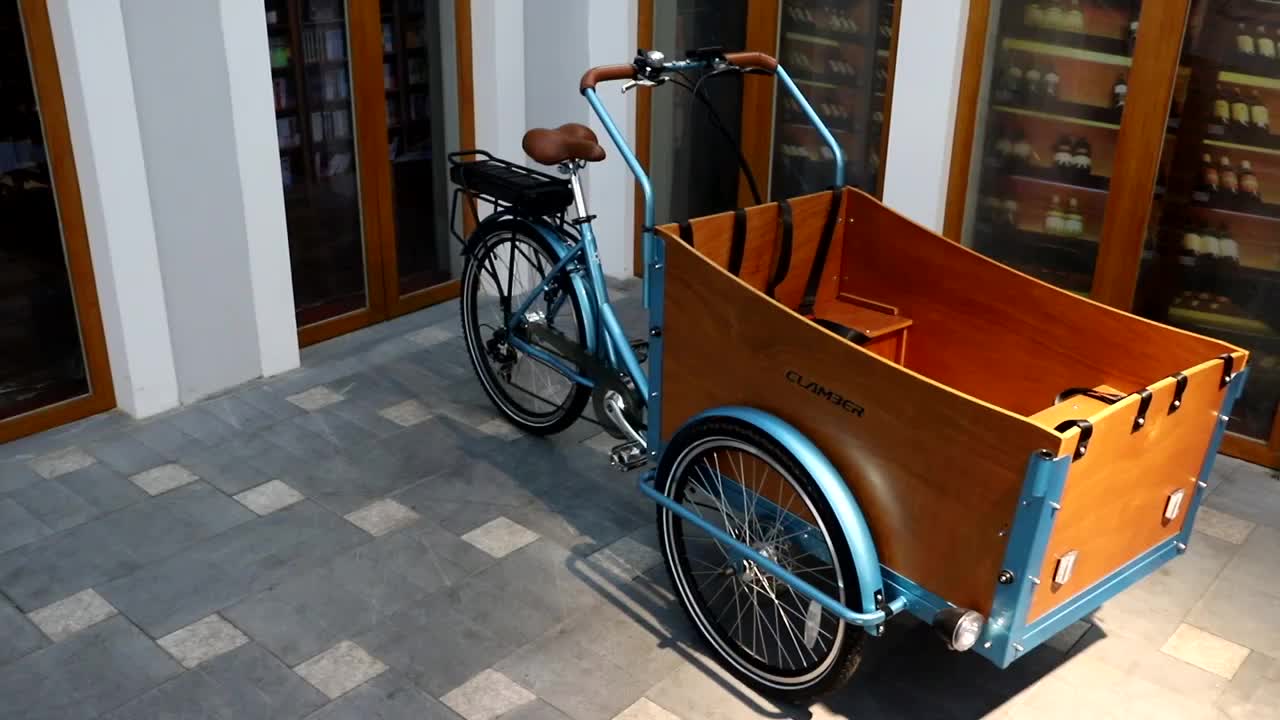 Electric 2 Wheel Adult Cargo Tricycle With Front Two Wheel For Family