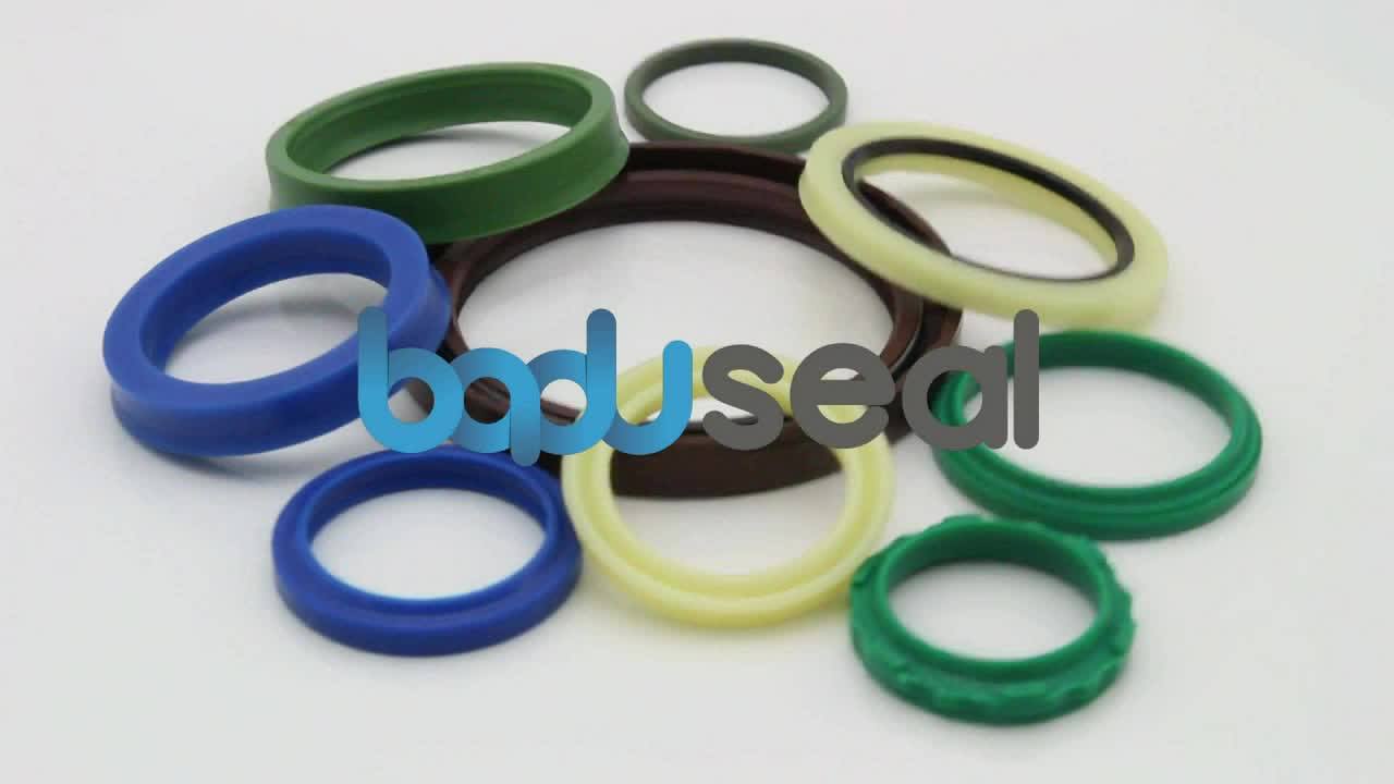 Select Size Tc Double Lip Rubber Rotary Shaft Oil Seal With Spring